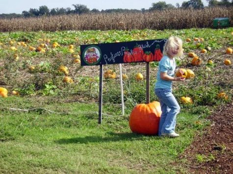 A young girl enjoying fall festivities (Photo courtesy ofhttp://bakerpecans.com/bakers-acres/)
