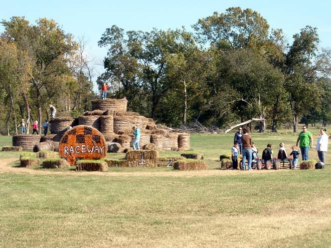 Fall activities are in full swing (Photo courtesy ofhttp://bakerpecans.com/bakers-acres/)