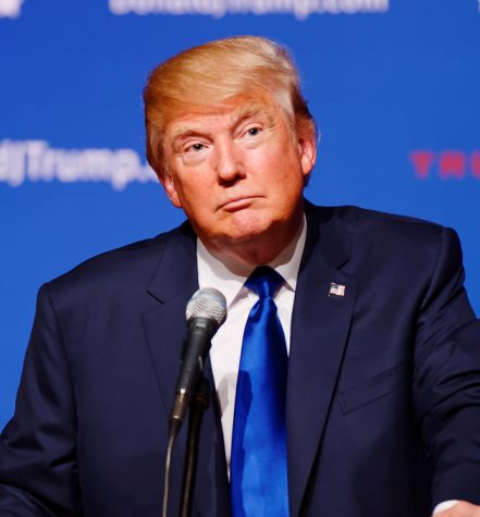 Donald Trump at the New Hampshire Town Hall at Pinkerton Academy, August 19th, 2015. https://creativecommons.org/licenses/by-sa/2.0/deed.en
Photo has not been edited. Photo credit Michael Vadon