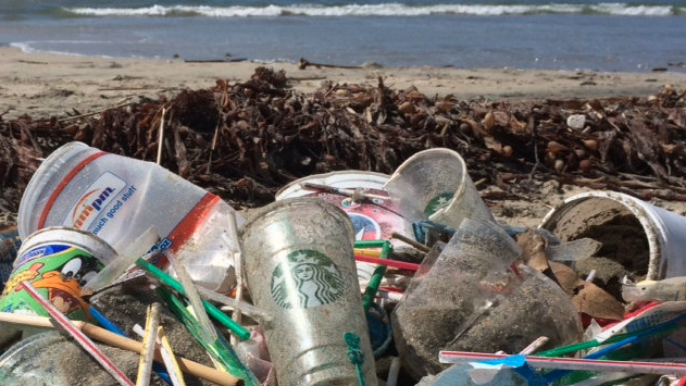 Plastic+are+under+attack+after+big+companies+try+to+be+environmentally+friendly.