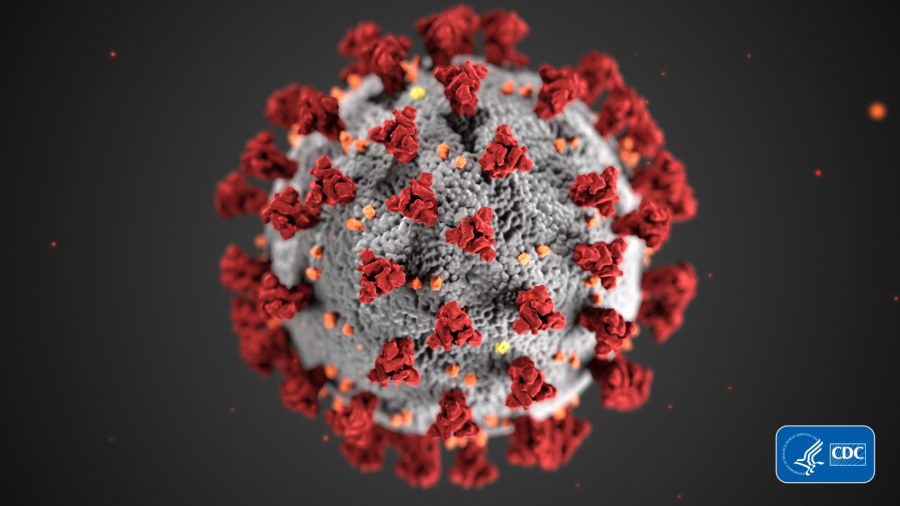 Coronavirus+HD