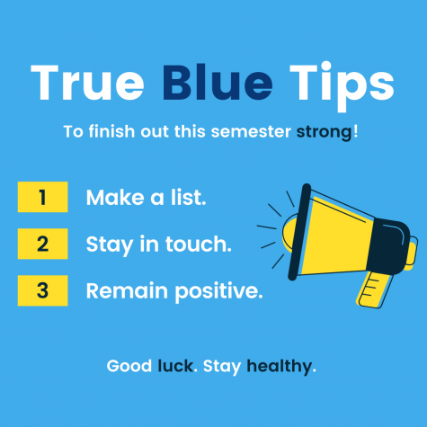 True Blue tips from James Reed