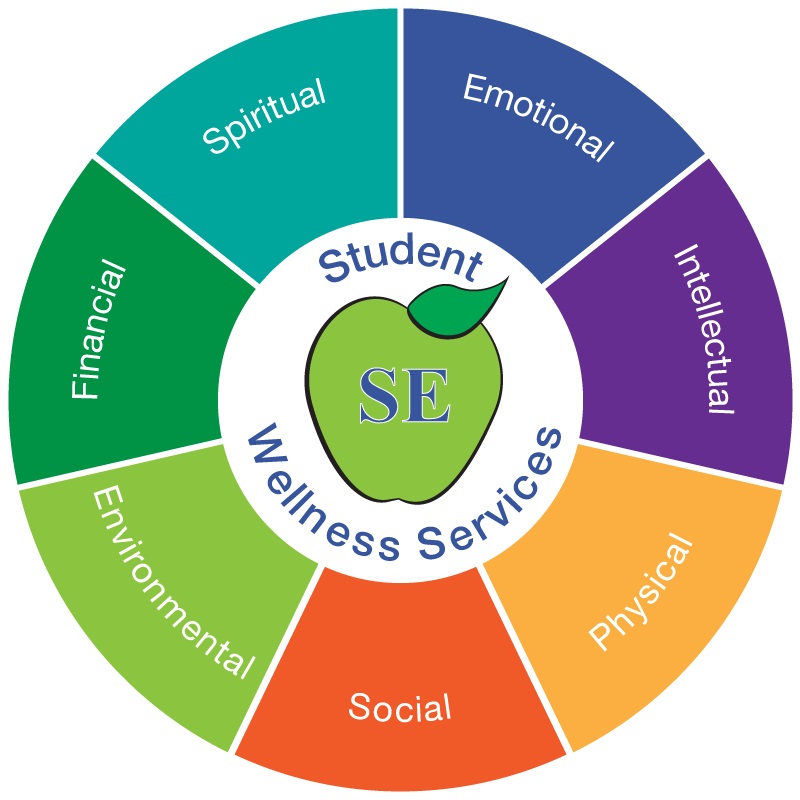 The Wellness Wheel provides insight on activities which help in enhancing your physical, intellectual, spiritual, financial, social, emotional, occupational and environmental wellness.