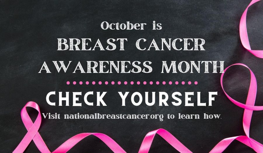 Breast+Cancer+Awareness+Month+is+an+annual+international+health+campaign+organized+by+major+breast+cancer+charities+every+October+to+increase+awareness+and+to+raise+funds+for+research+into+cause%2C+prevention%2C+diagnosis%2C+treatment+and+cure.+It+is+also+to+educate+people+on+the+importance+of+early+screening+and+self-examinations.+To+learn+more%2C+visit+nationalbreastcancer.org.