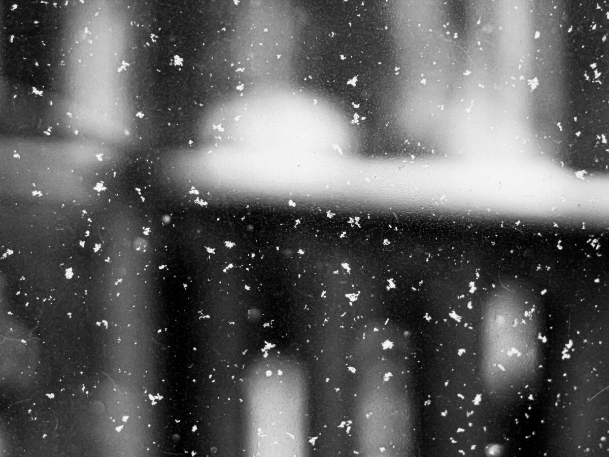 Photo credit: Unsplash/Linus Belanger